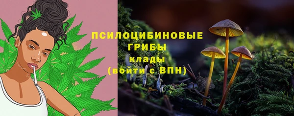 амф Алзамай