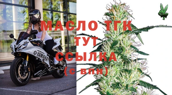 apvp Алексин
