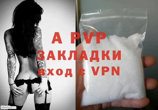 apvp Алексин