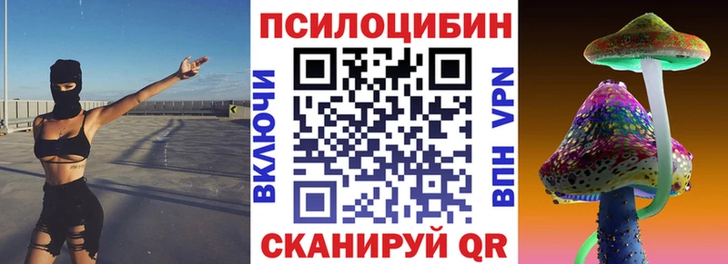 где продают Юрьев-Польский Галлюциногенные грибы Magic Shrooms